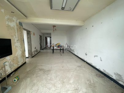 金港名都北区 2室 2厅 53平米