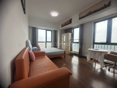 万达公寓 1室 1厅 46.5平米