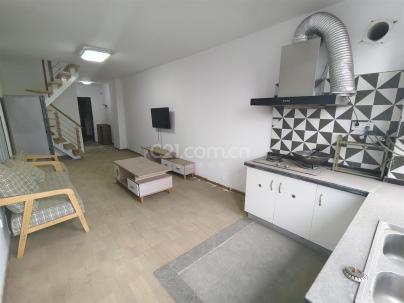 欢乐新天地 2室 1厅 47平米