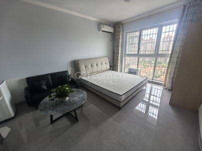 青年公社 1室 1厅 33平米