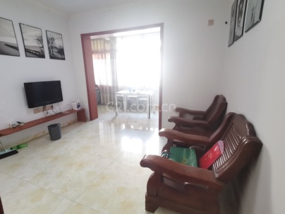 顺南街20号 2室 1厅 70平米