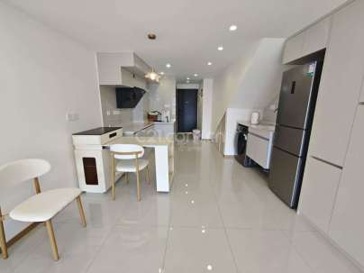 水上运动中心1栋（水韵广场） 1室 1厅 60平米