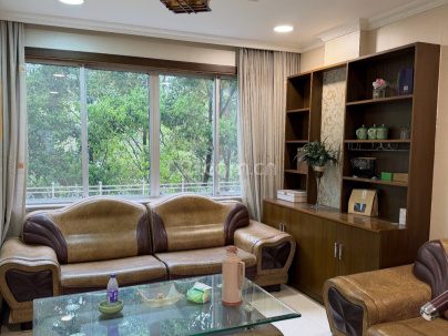 紫金新村 3室 2厅 215平米