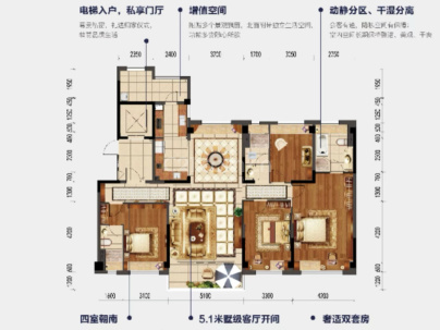 碧桂园盛棠 5室 2厅 266.66平米