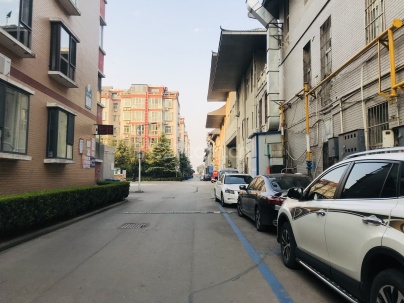 教授花苑