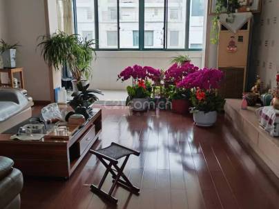 滨江国际花苑二期 3室 2厅 240平米