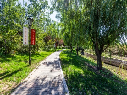 天鹅堡 3室 2厅 241.23平米