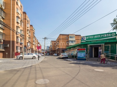 玉桥北里 2室 1厅 60平米