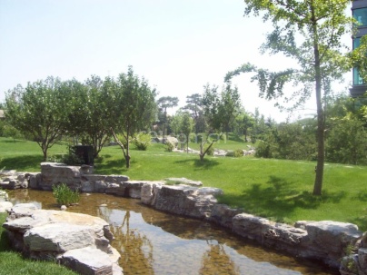 山水文园四期 10室 5厅 922.2平米