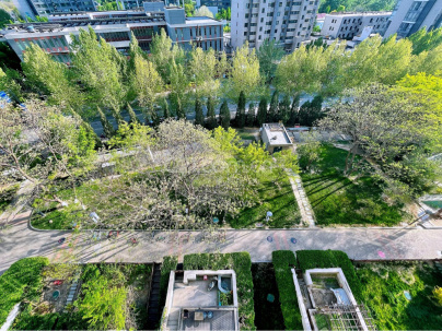 观湖国际 3室 2厅 173平米