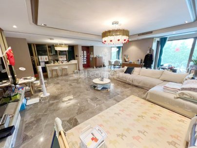 山水文园五期 3室 2厅 232平米