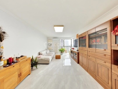 美景东方 2室 2厅 114.69平米