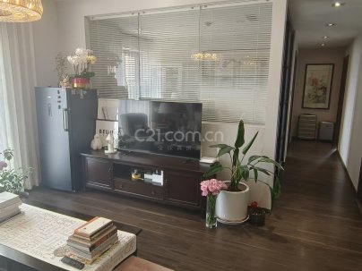 瑞士公寓 3室 2厅 145平米