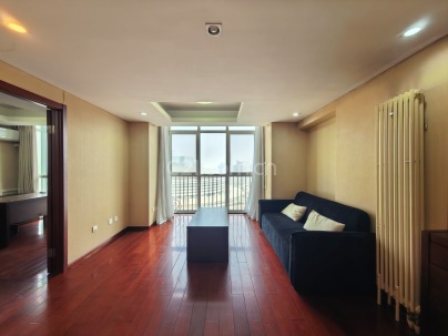 工体3号 1室 1厅 101平米