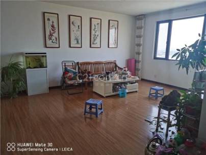 中煤新城家园 3室 2厅 140.25平米